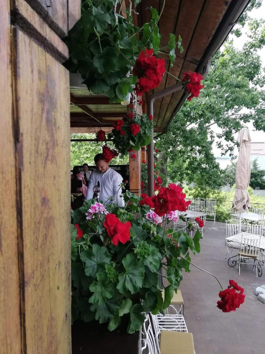 Casa Boiereasca Hotell Iasi Eksteriør bilde